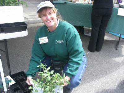 Laura Pittman-Hewitt of Ambergardens in Port Orchard had all kinds of tomato starts at last Thursday's Tacoma Farmers Market