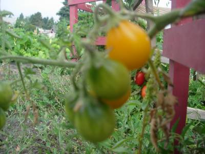 DSCN0754.JPG