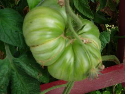 DSCN0755.JPG