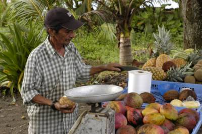 A vender weighs fresh fruit in Puerto Viejo