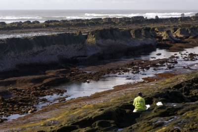 With the tide out, a man searches for crabs inside the tide pools to use as bait for fish
