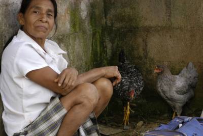 An old woman and her chickens at \"El Cruse\"