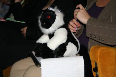 IMG 0297.JPG