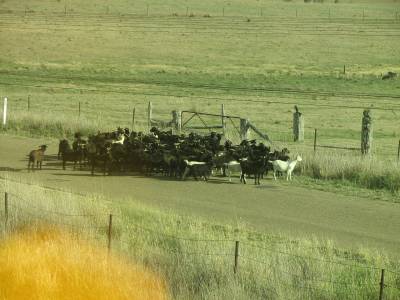 IMG 1053.jpg