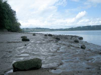 IMG 1722.JPG