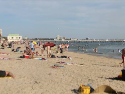 IMG 4855.jpg