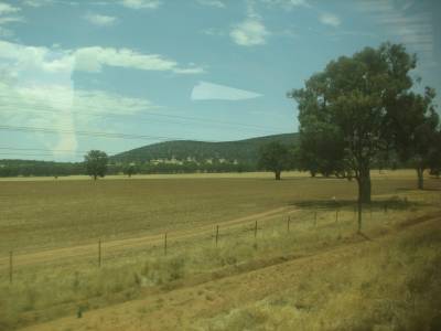 IMG 4910.jpg