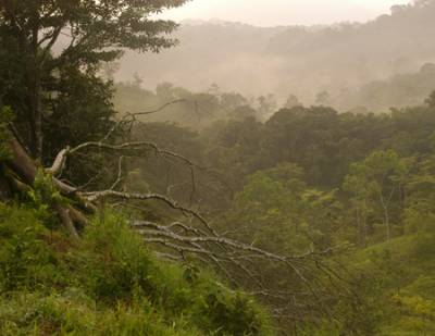 Dawn over a valley in Mastatal