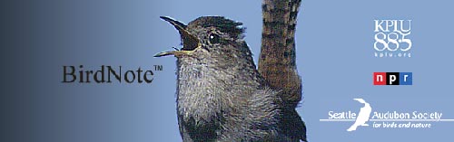 birdnote.jpg