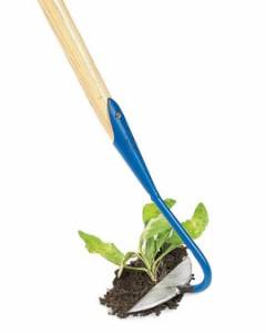 hoe.jpg