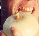 onion1.jpg