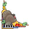 turkey.jpg
