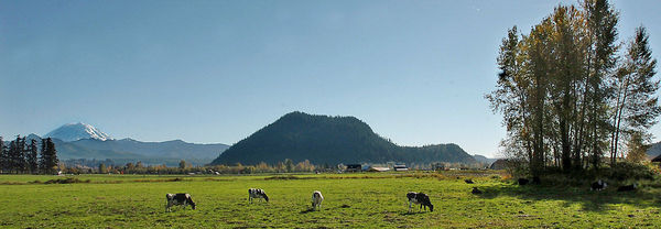 Mount Pete