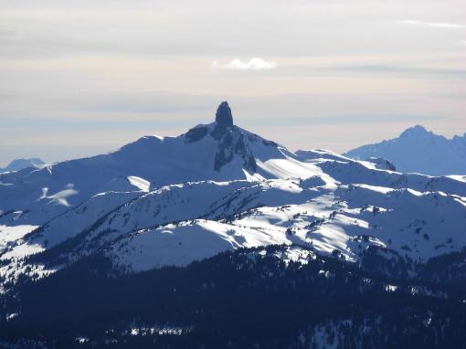 Black tusk
