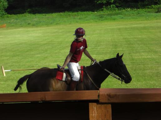 Tacoma Polo Club