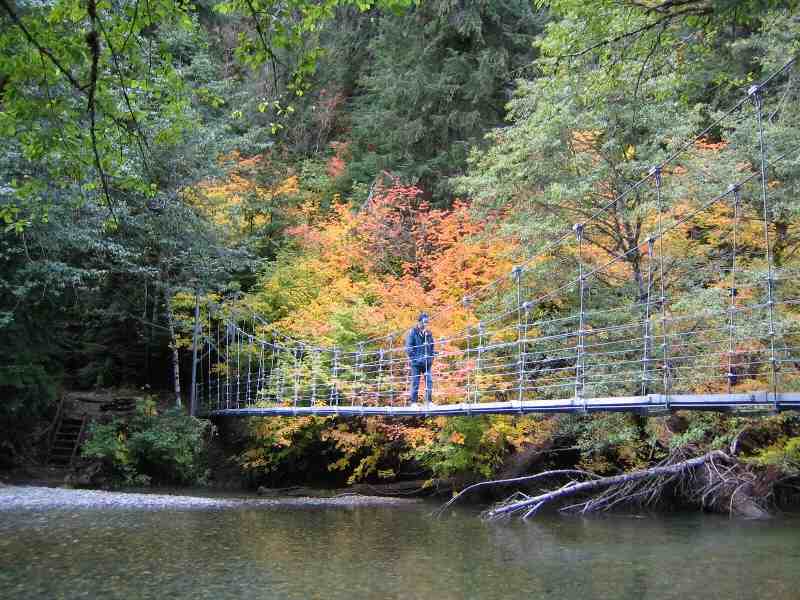 MRNP-Grove of the Patriarchs bridge