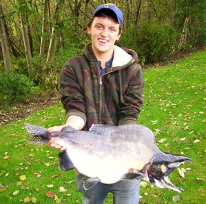 Record pink salmon