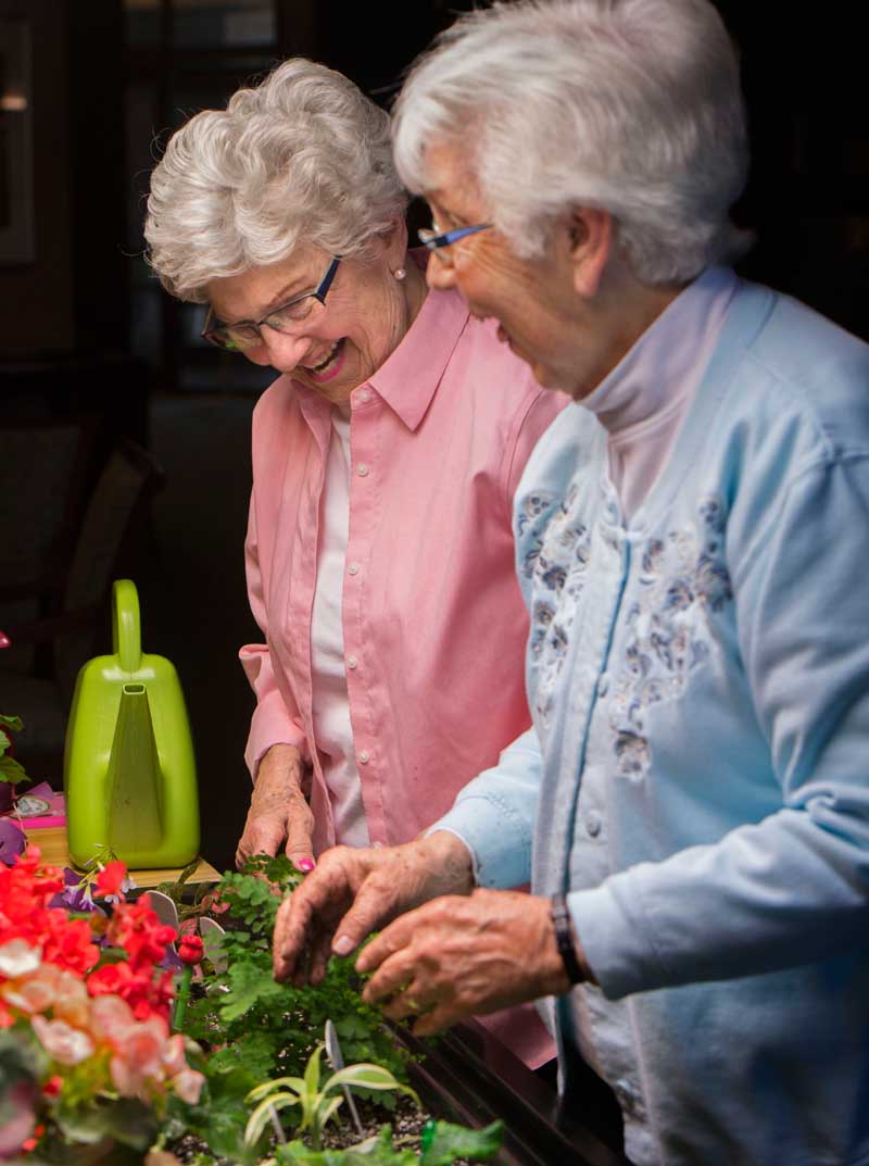 Tacoma Indoor Garden Business Lets Seniors Flower Year-round Tacoma News Tribune