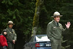 Mount Rainier reopens